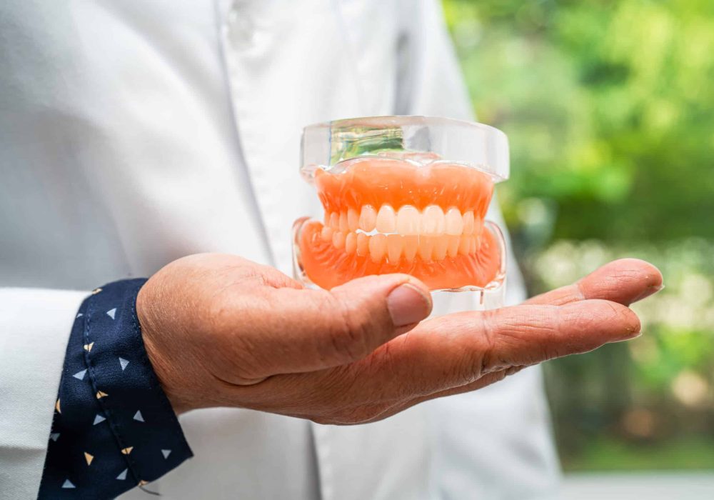 Denture, dentist holding dental teeth model to study and treat in hospital.